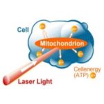 ADisMa TinniTool készlet